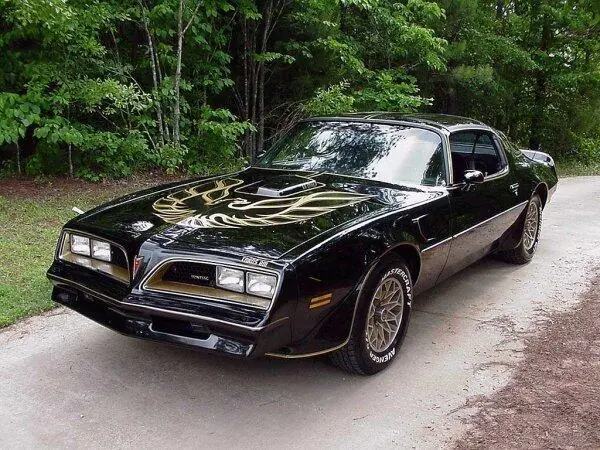 pony car pony car