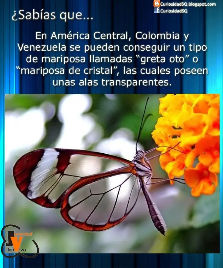 cosas