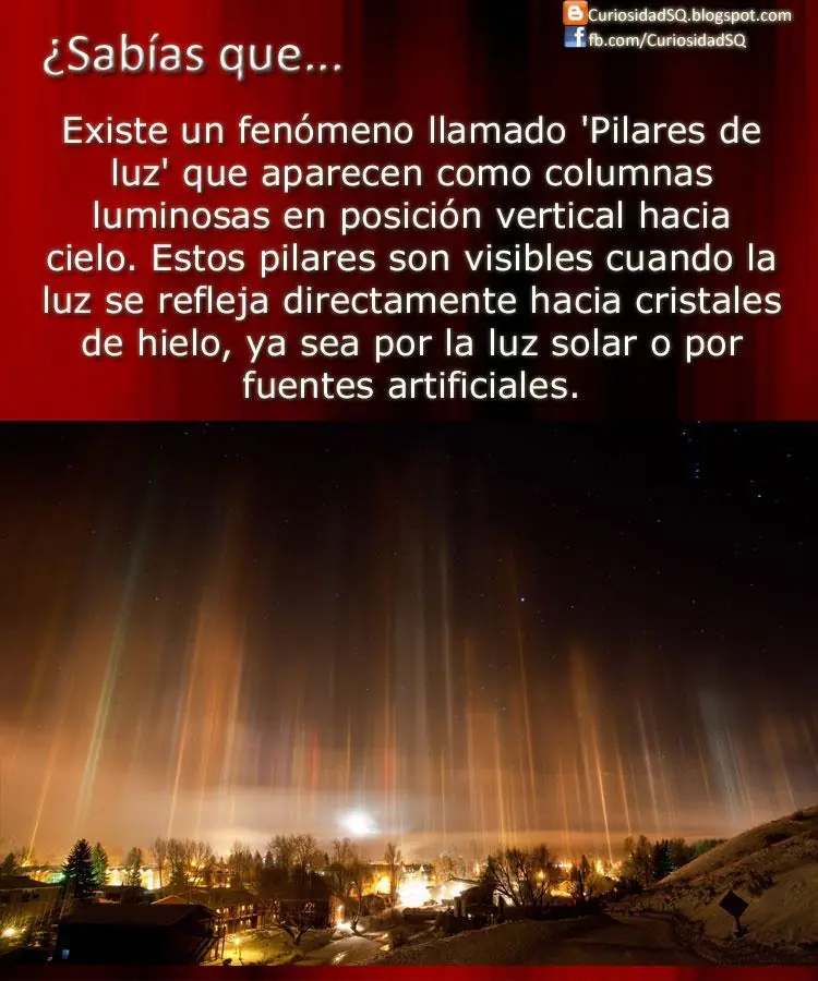 Seguramente
