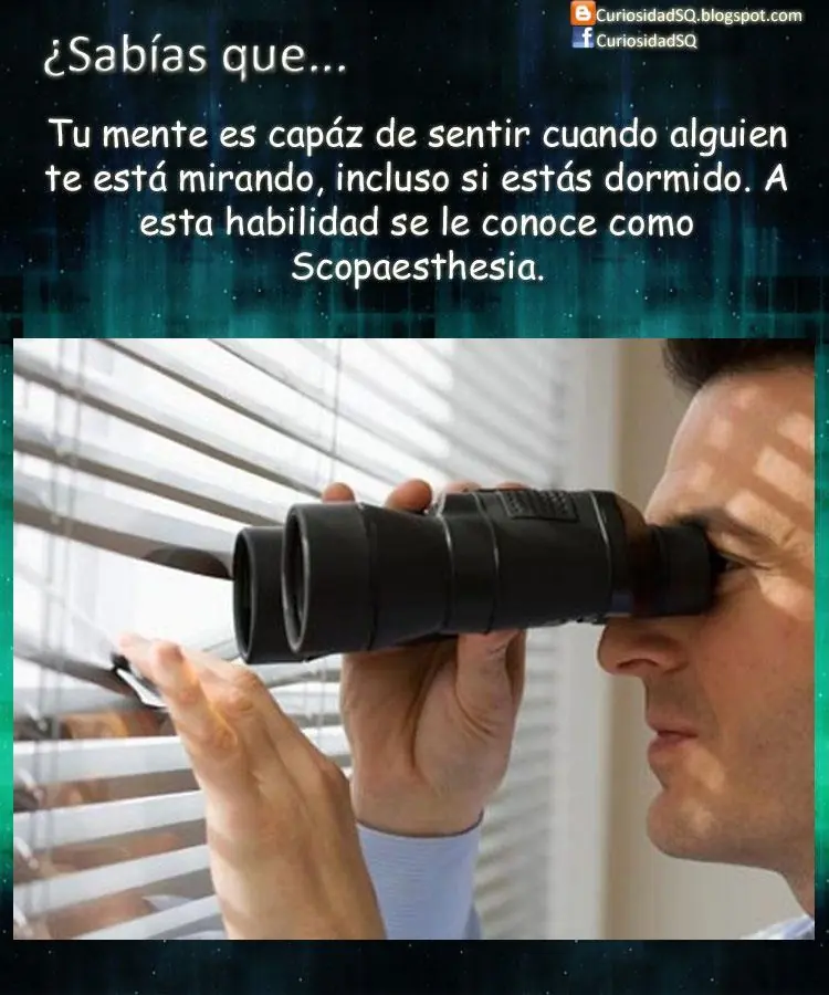 Que