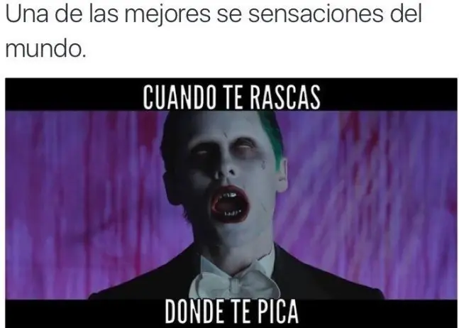 carcajadas