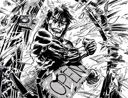 the crow