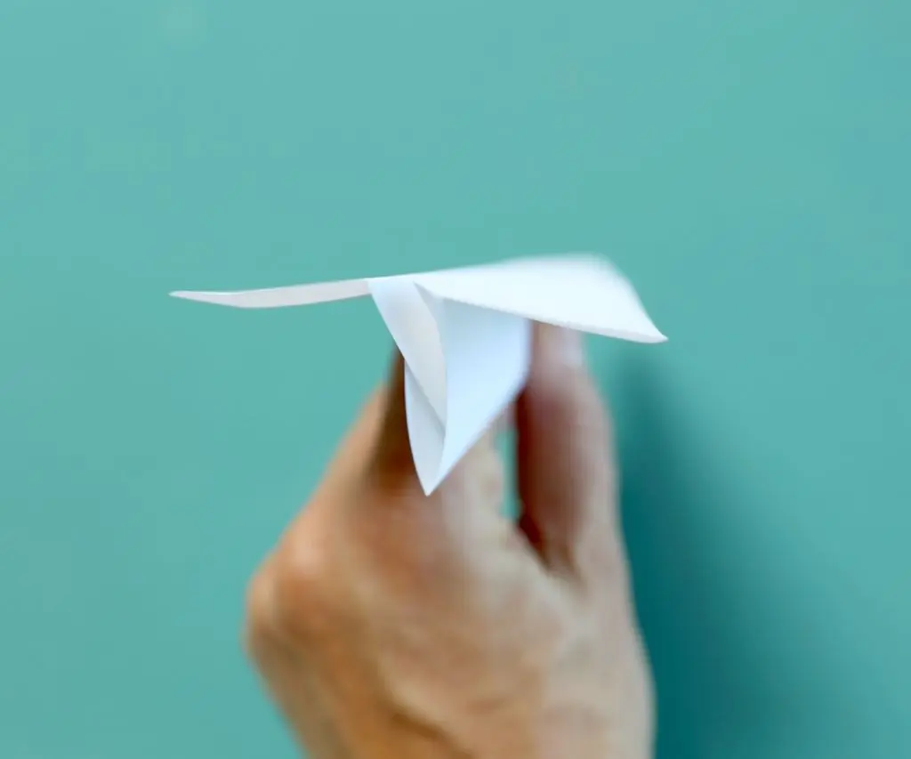 vuelo