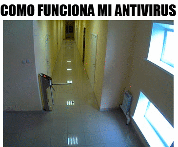 pack de gifs curiosos