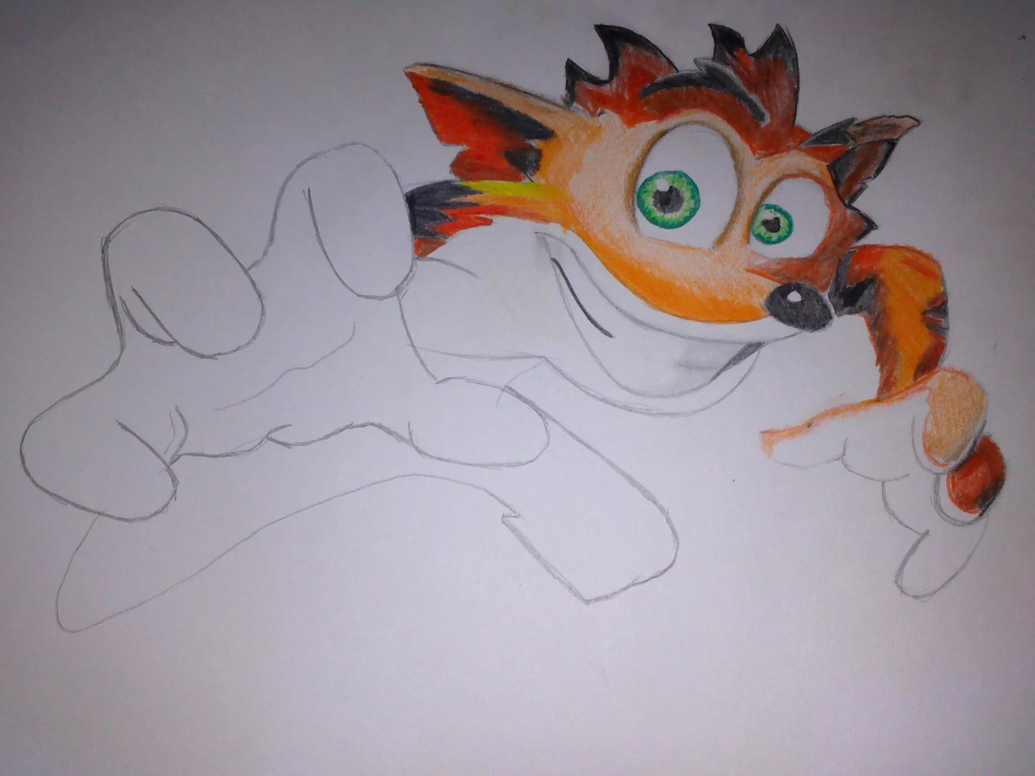 bandicoot