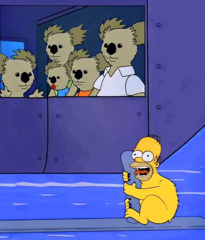 lisa simpson