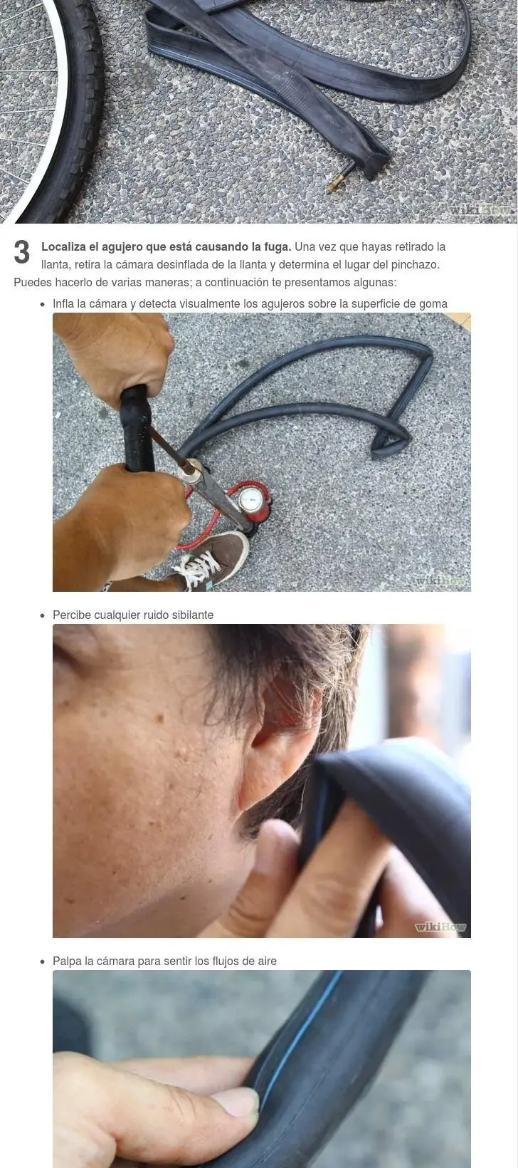 bicicleta