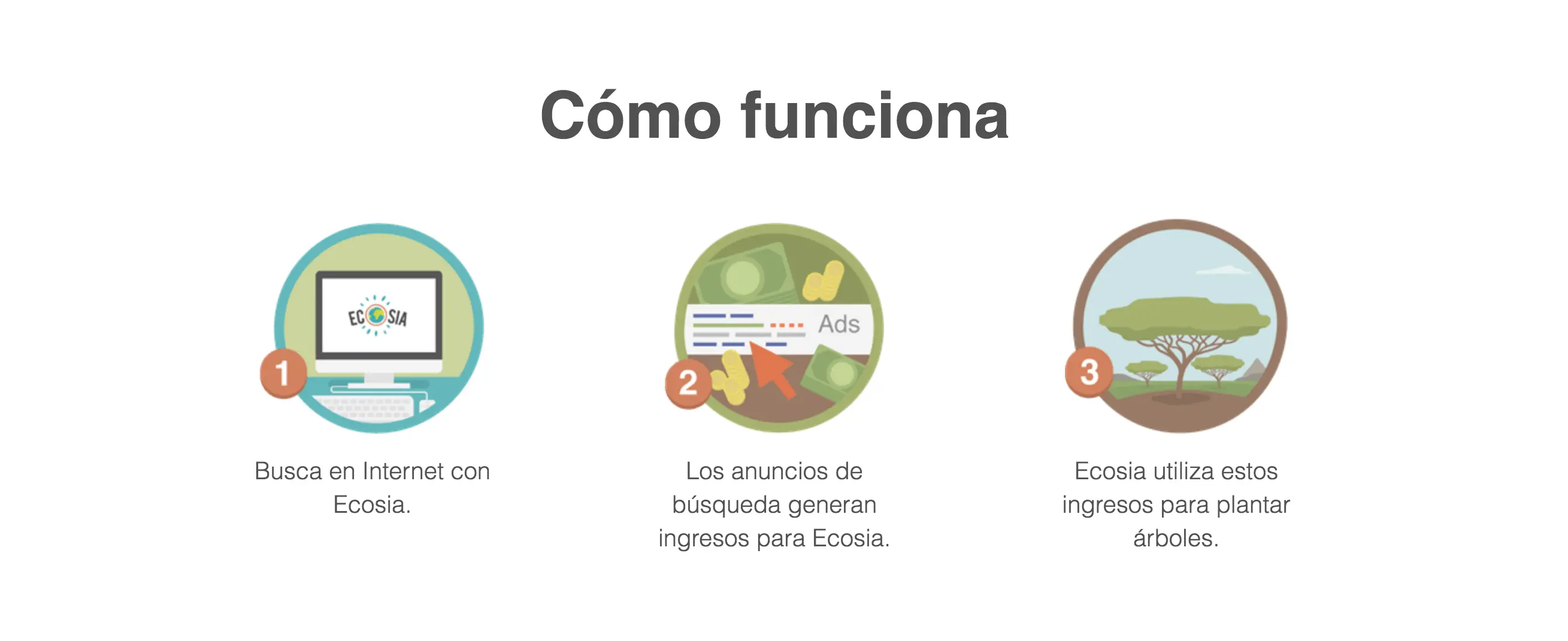 planta arboles