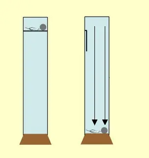fsica