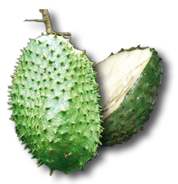 medicamentos