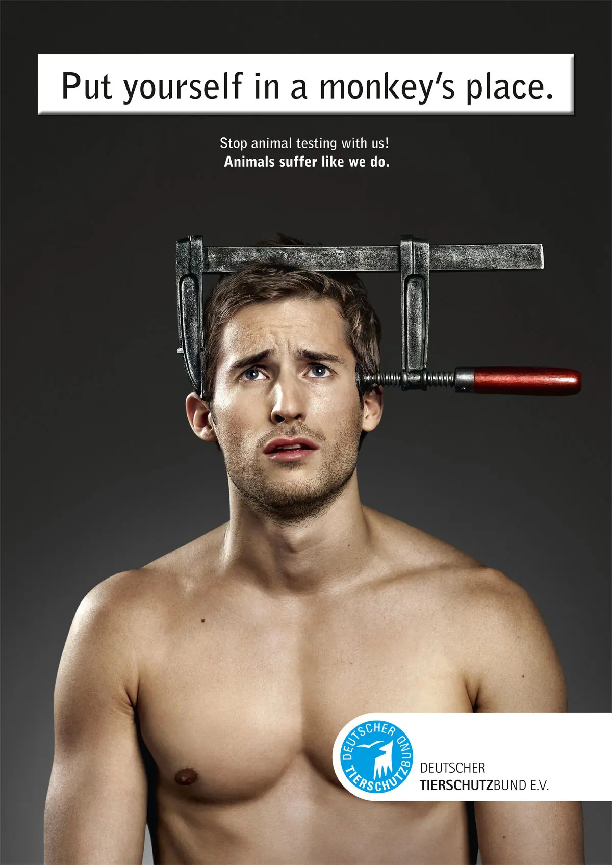 publicidad
