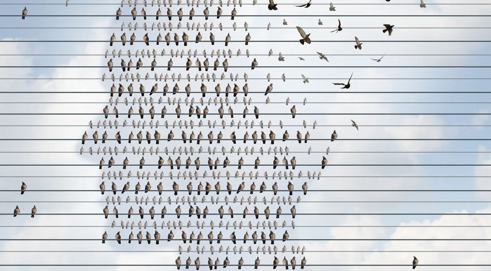 Imagina despertar y no recordar nada desde los 27 años