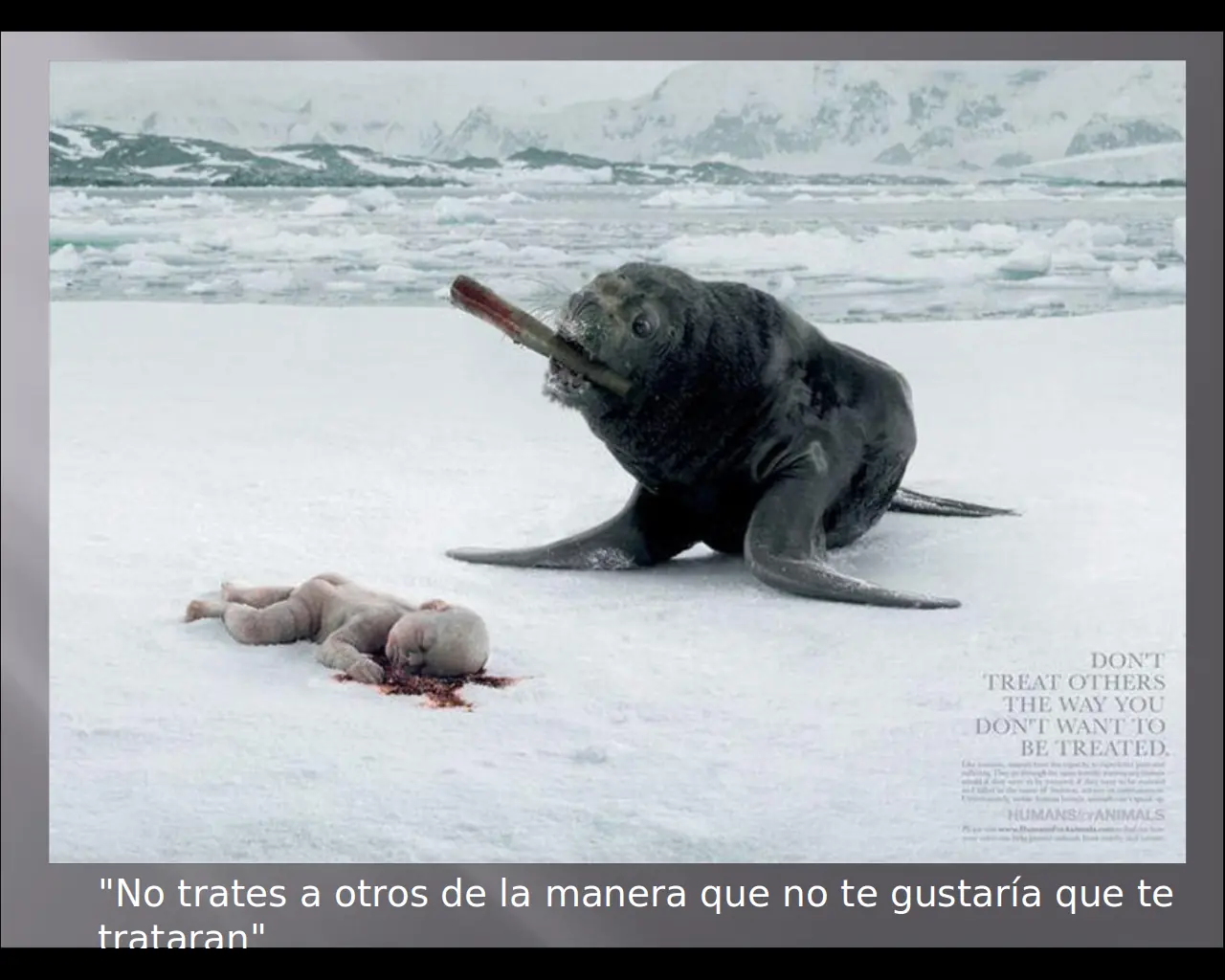 publicidad