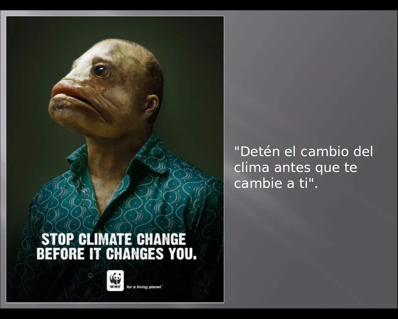 La Mejor Publicidad Del Mundo