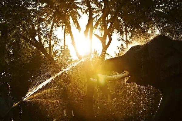 Imagenes de Luz y Sombra Nat Geo.