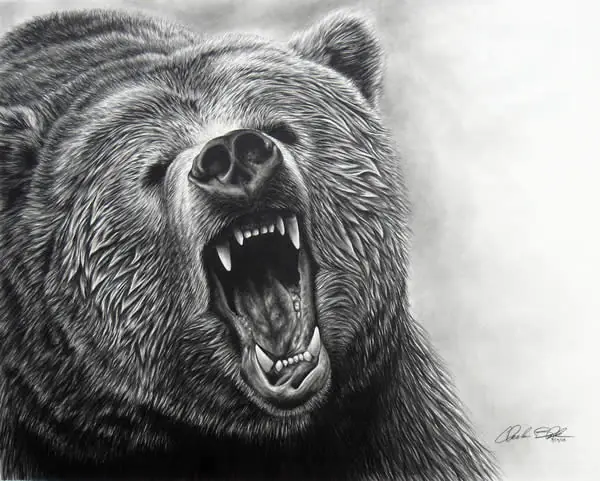 Animales