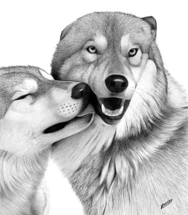 Dibujos de animales totalmente realistas