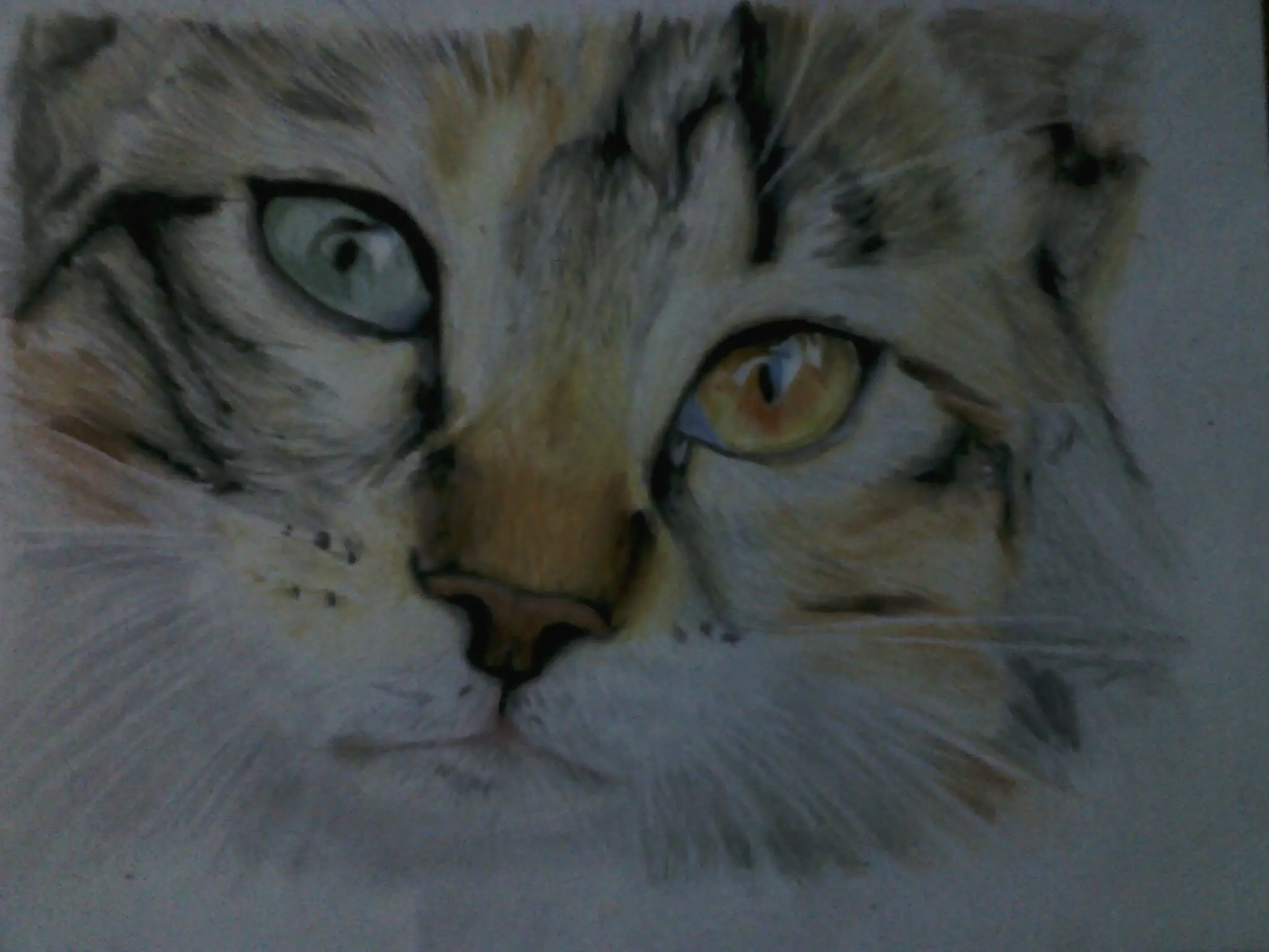 Dibujo