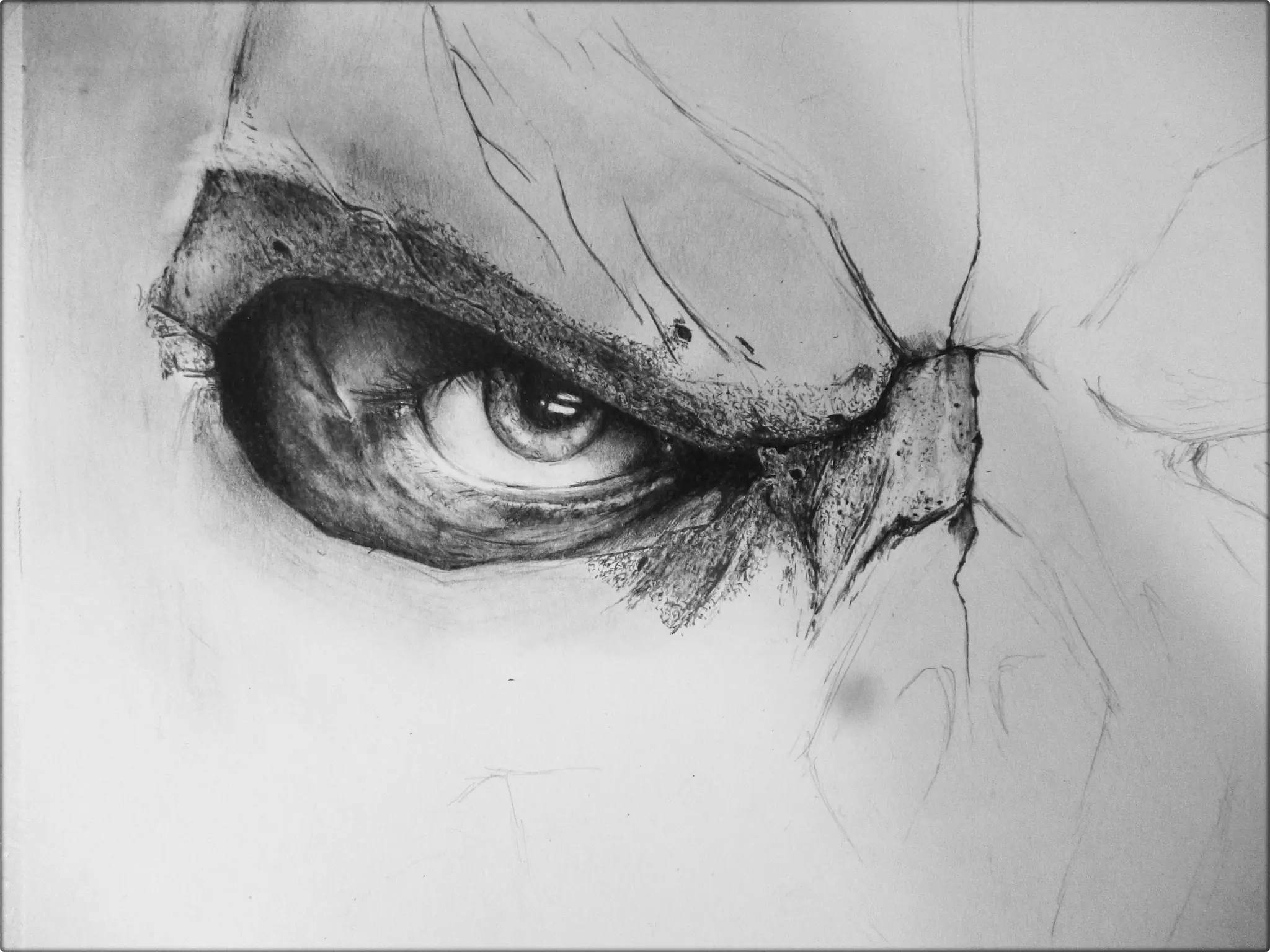 los ultimos hojos que veras