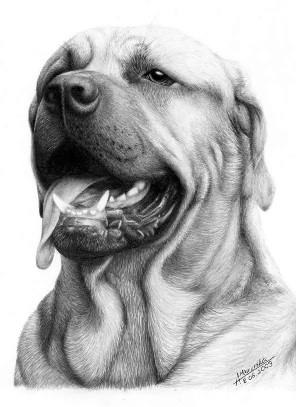 dibujos