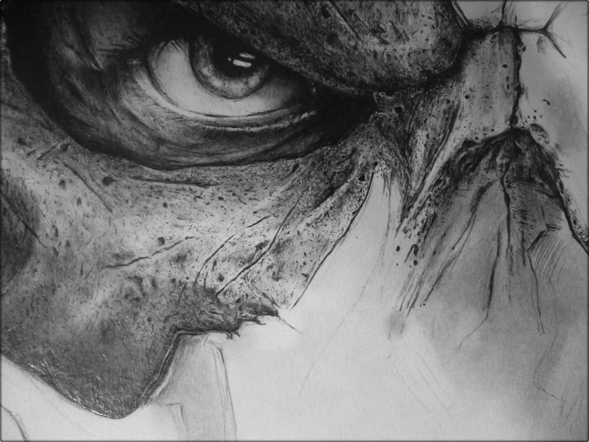 los ultimos hojos que veras