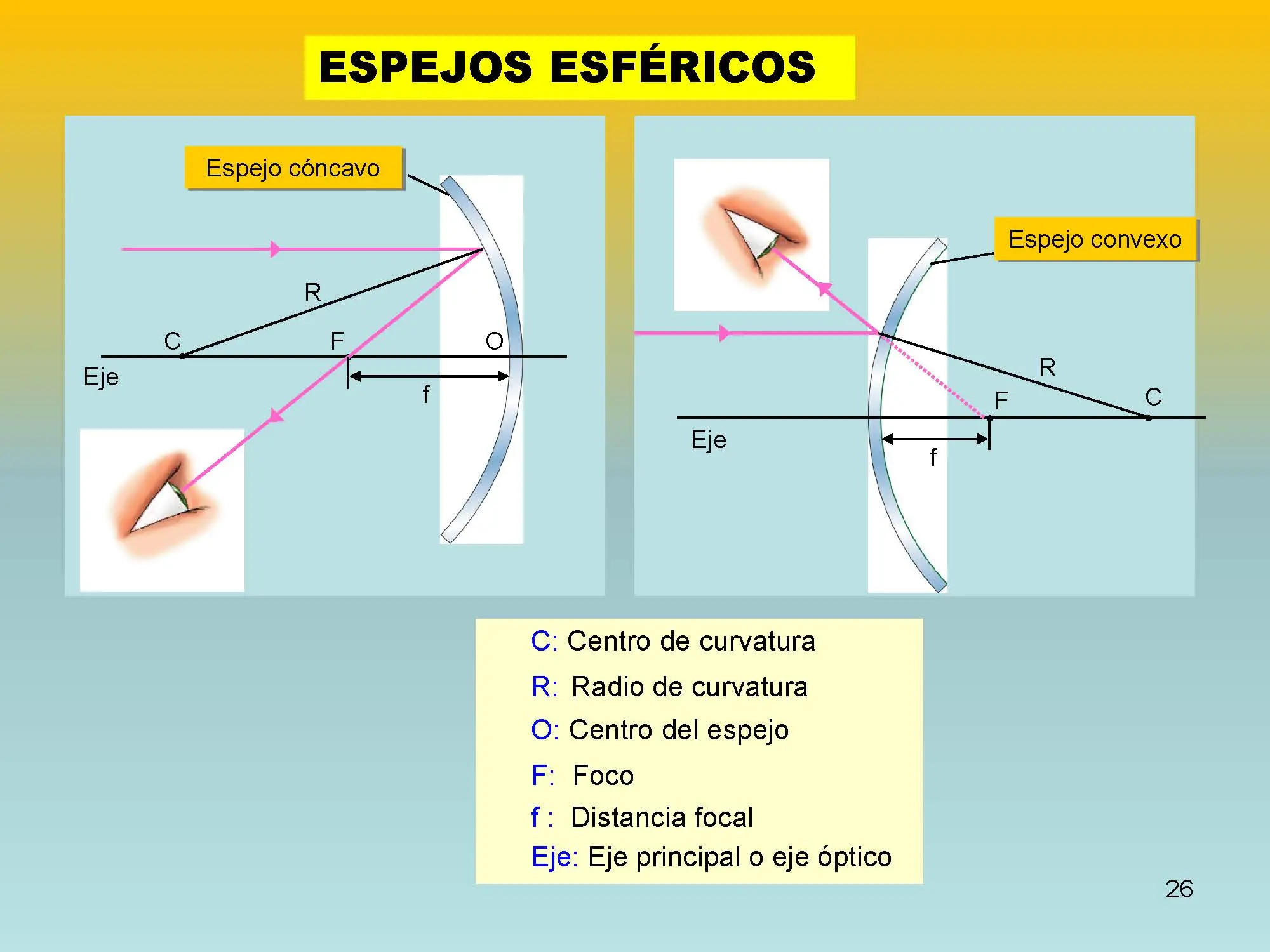 Un pequeño curso de Física