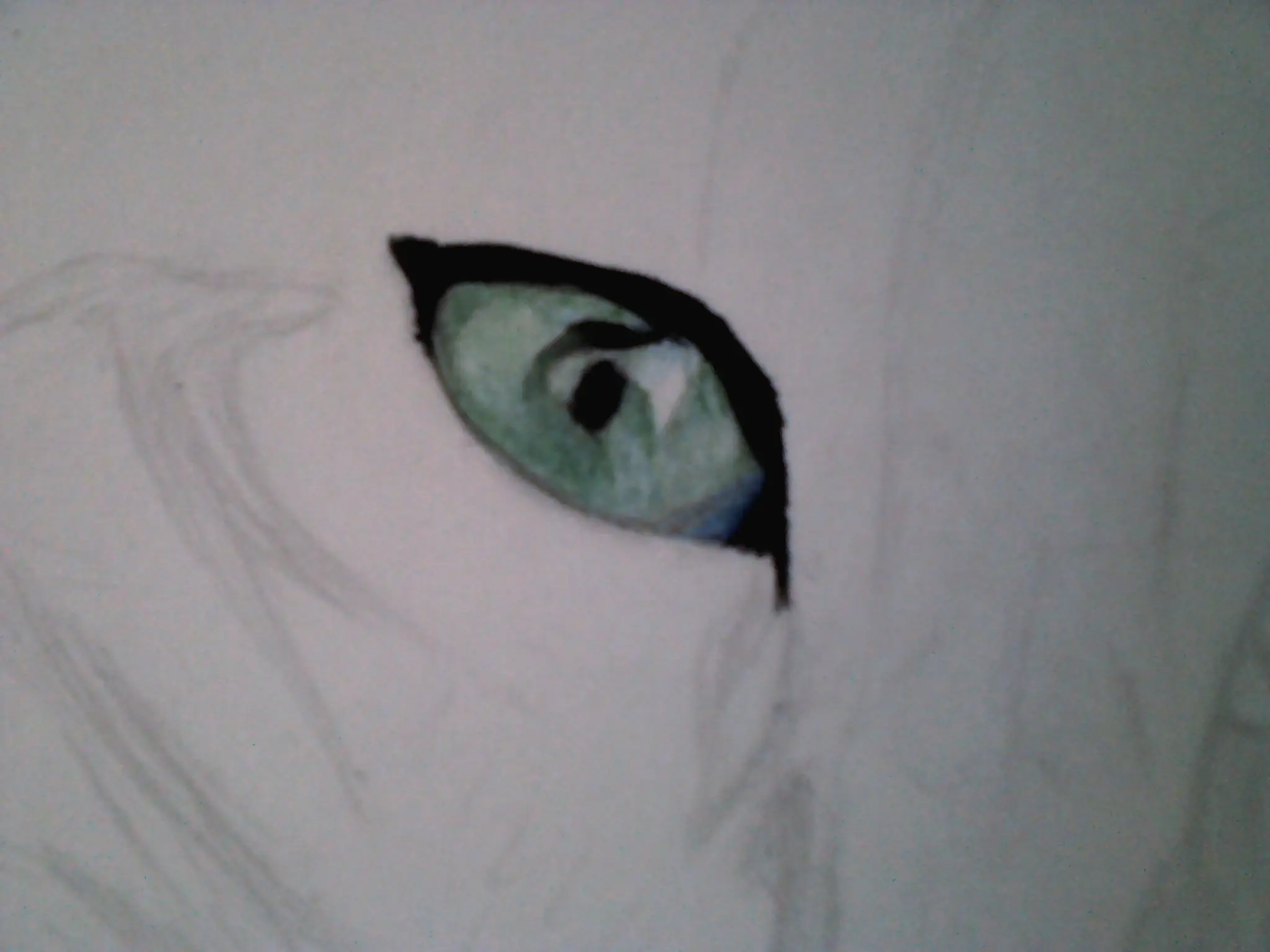Primer dibujo a lapices de color (Gato)