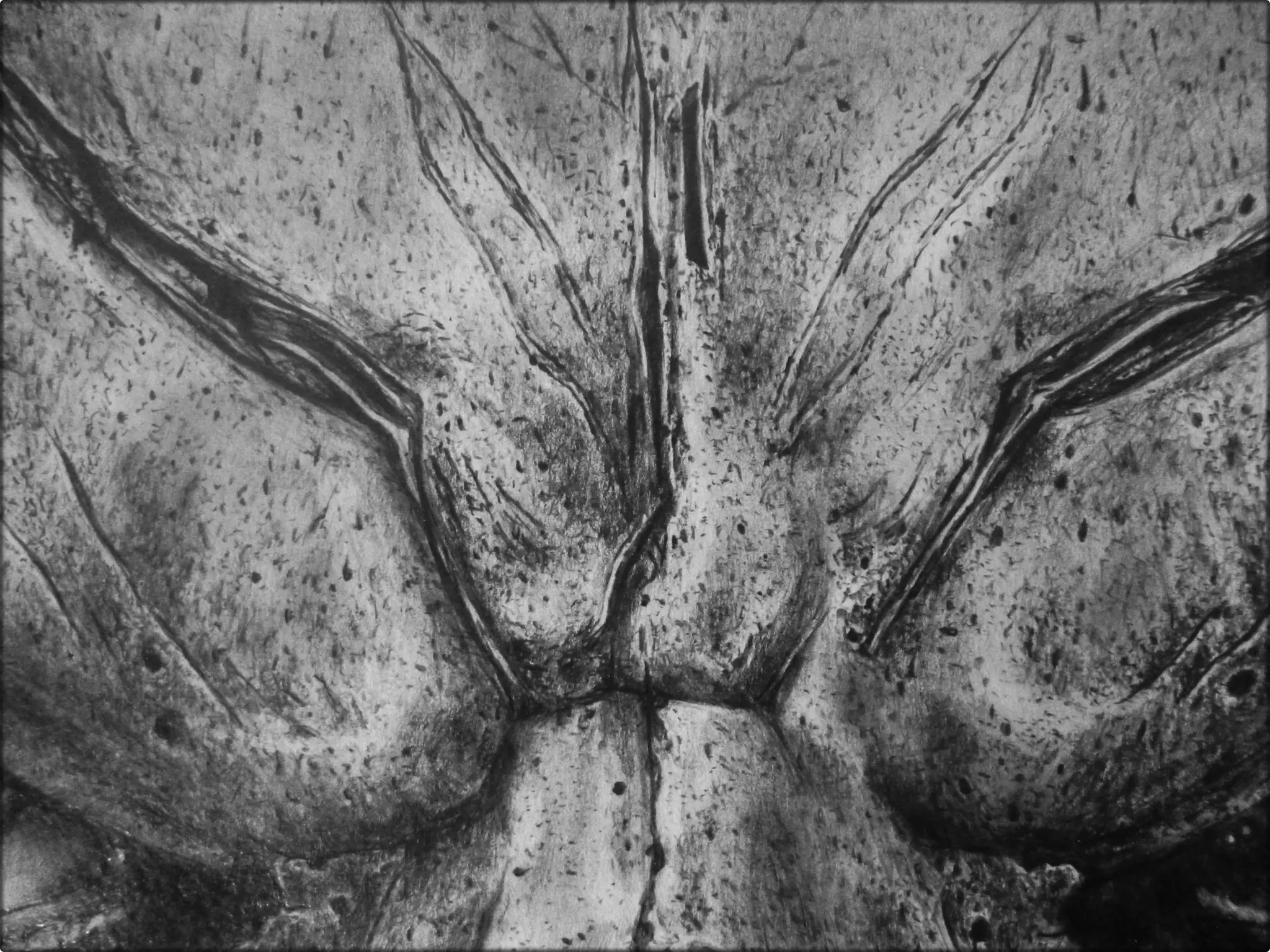 Dibujo de Darksider 2:Los últimos ojos que veras Lápiz neg