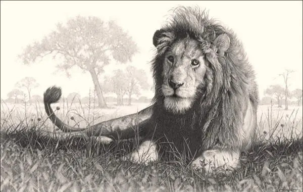 Animales
