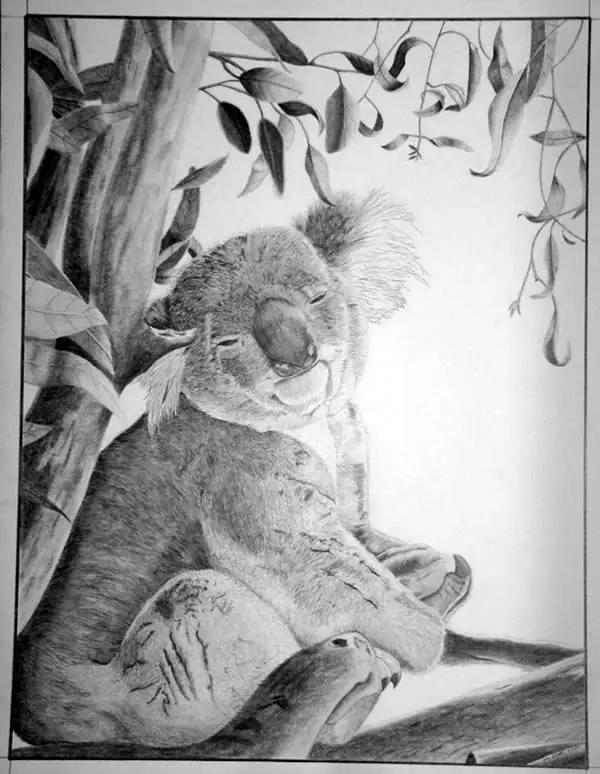 dibujos