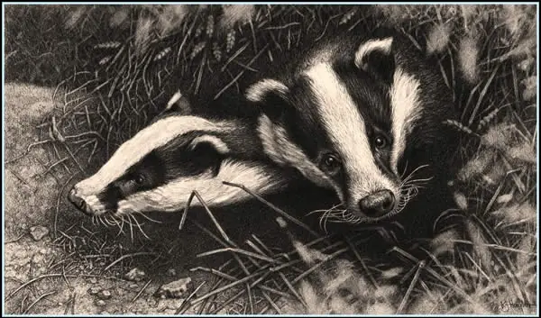 Dibujos de animales totalmente realistas