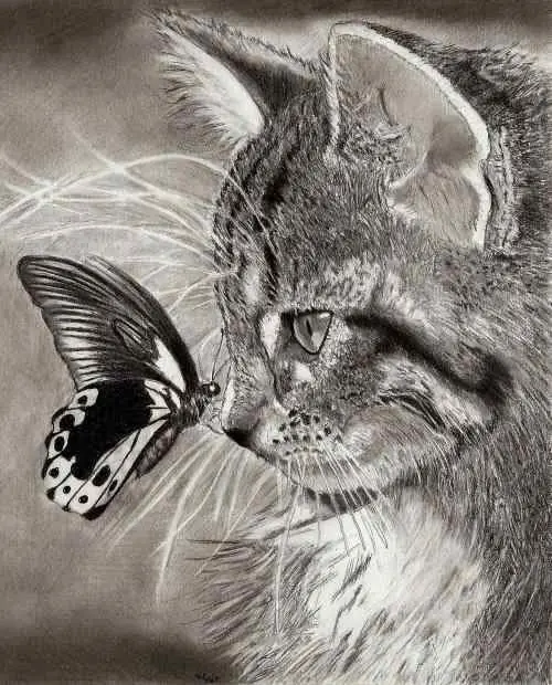 Animales