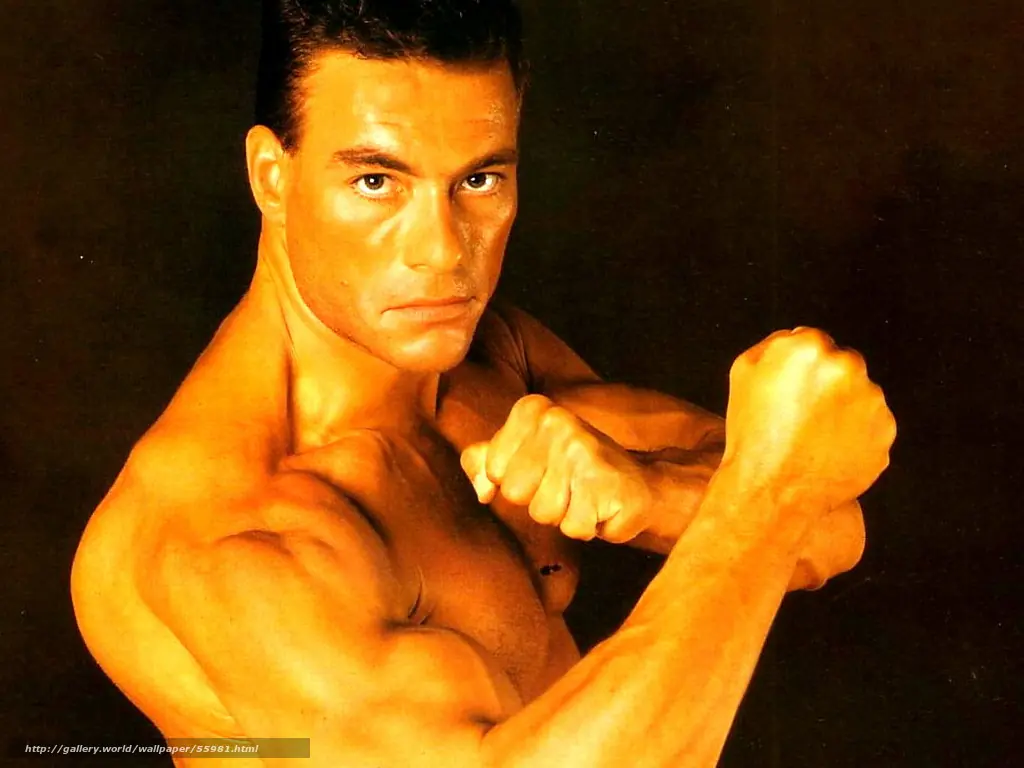 van damme van damme