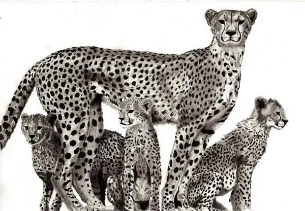 dibujos
