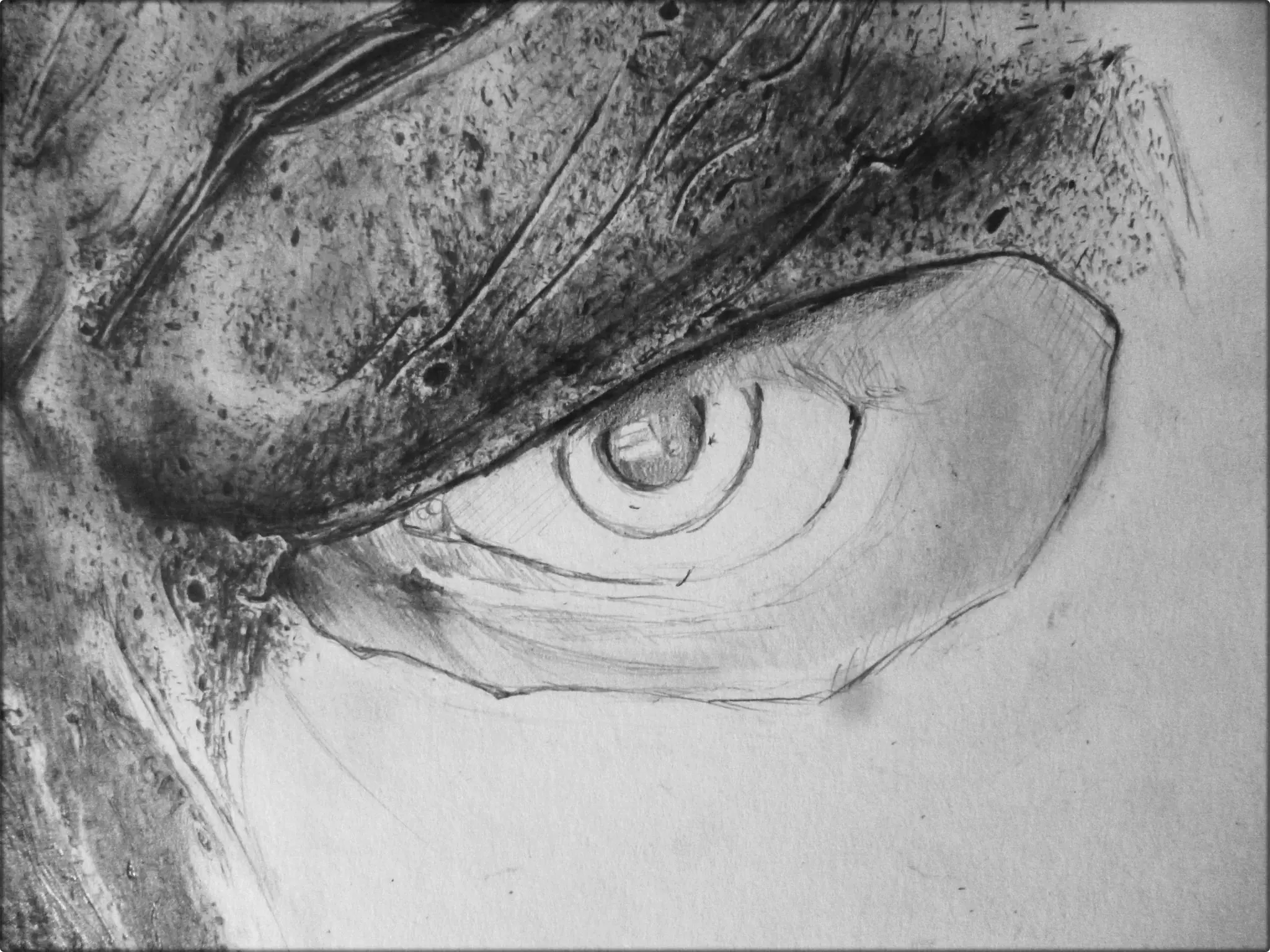 los ultimos hojos que veras