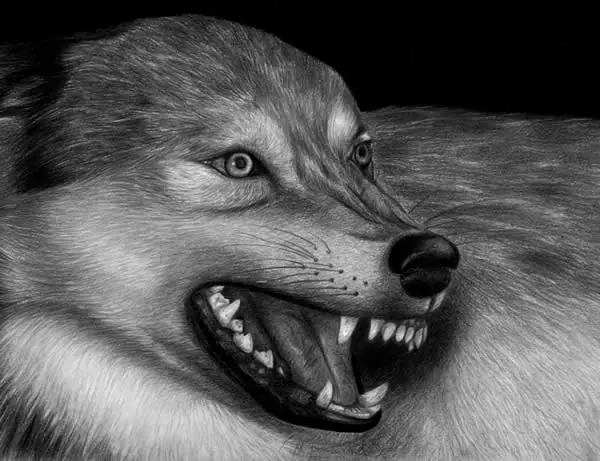 Dibujos de animales totalmente realistas