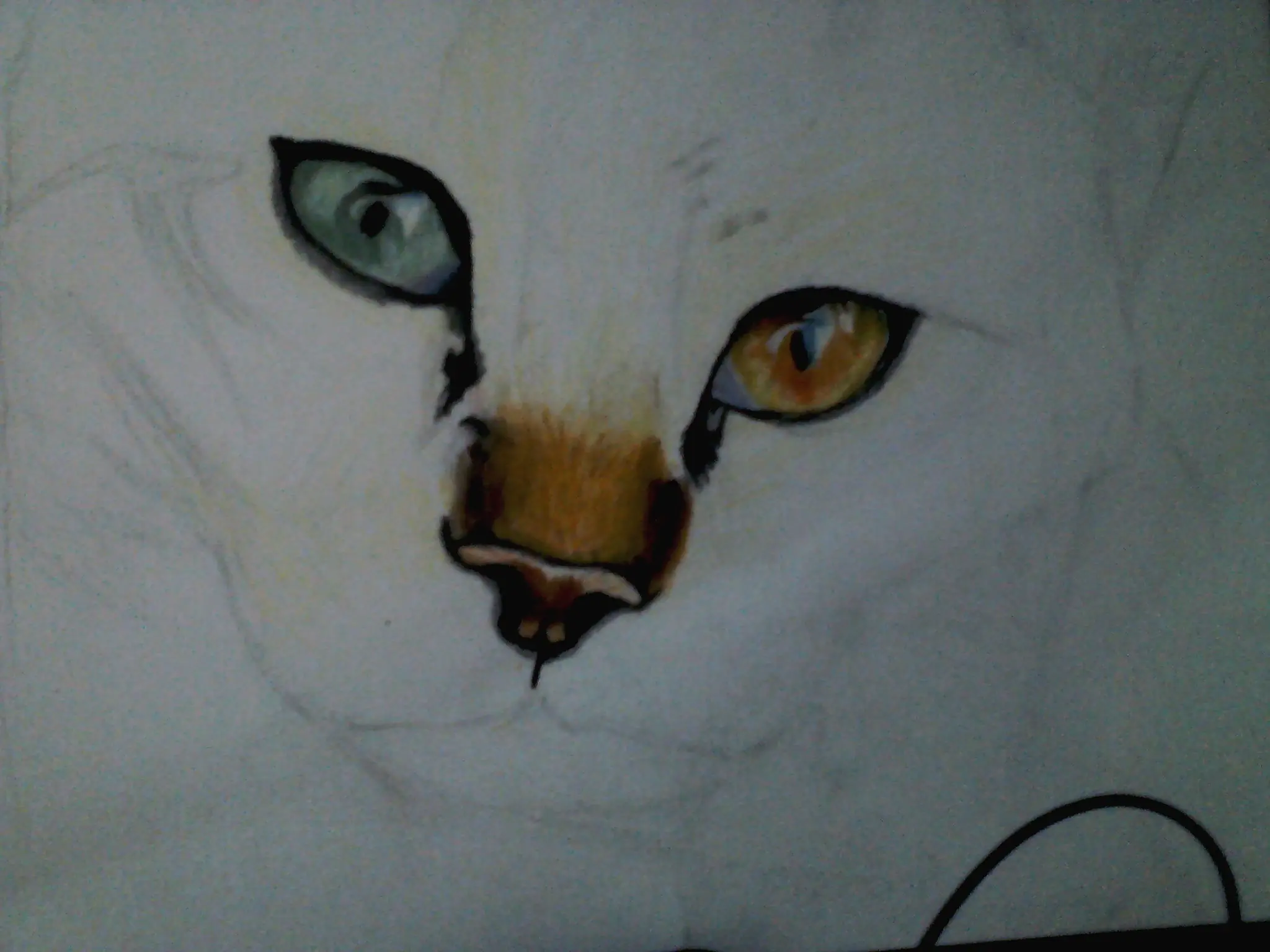 Dibujo