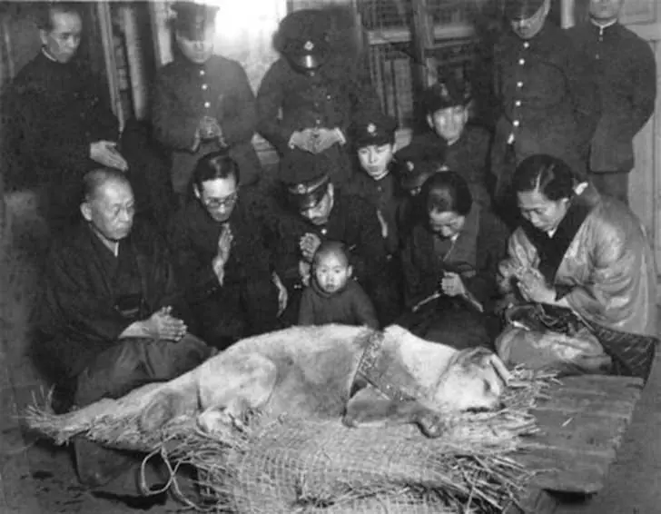 HACHIKO HACHIKO