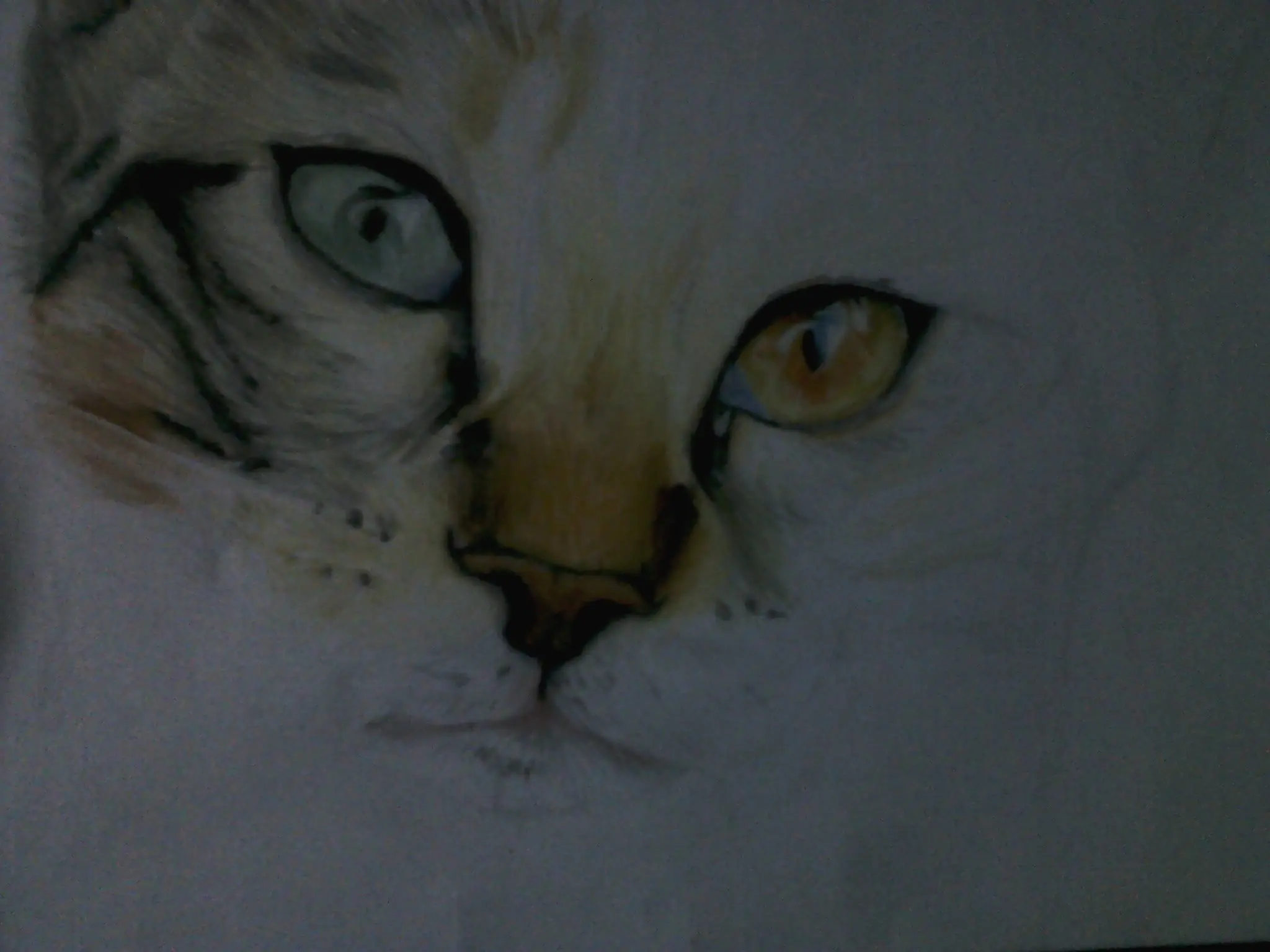 Ojos