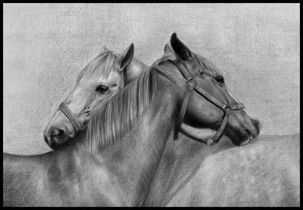 creaciones