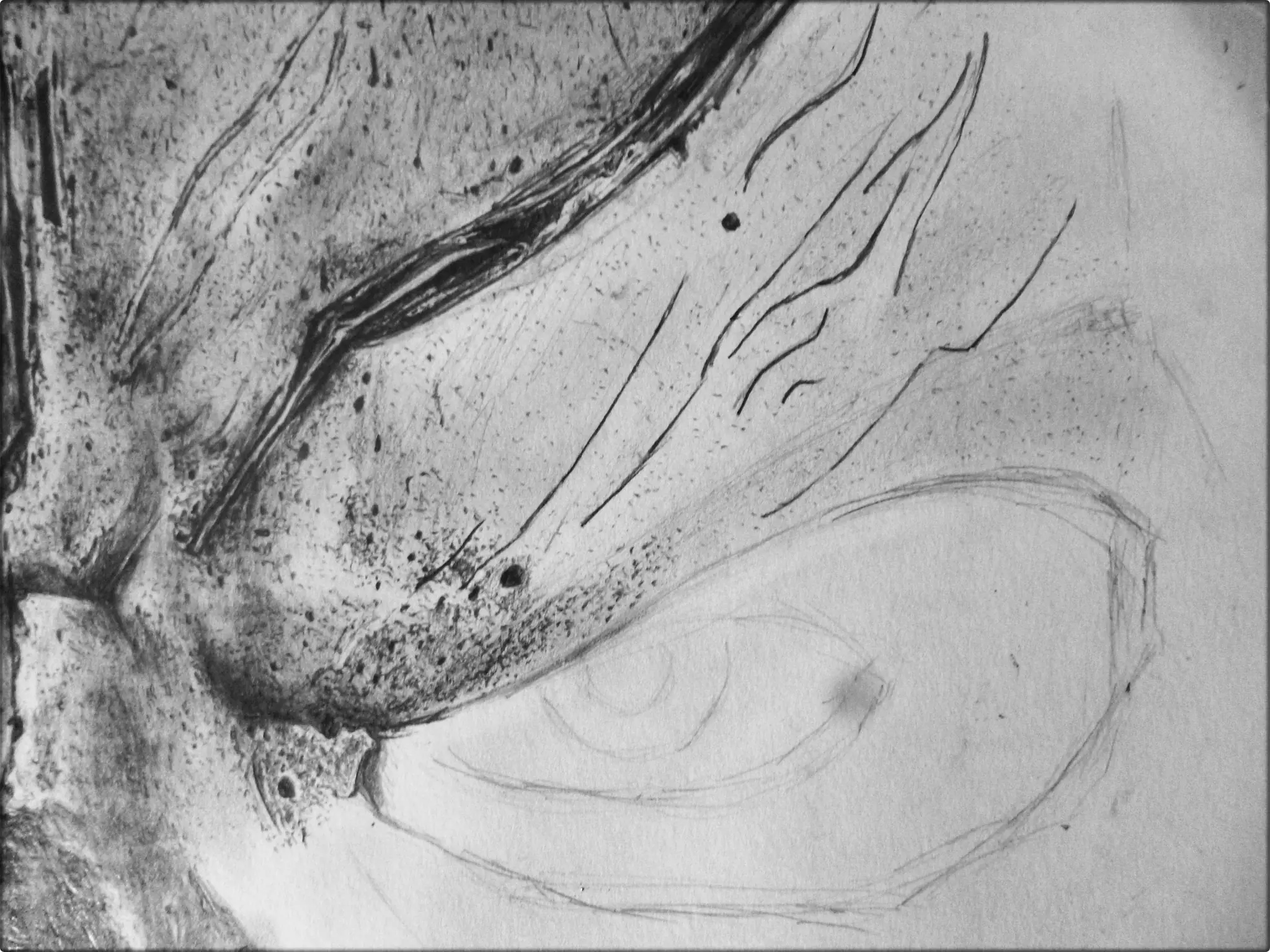 Dibujo de Darksider 2:Los últimos ojos que veras Lápiz neg