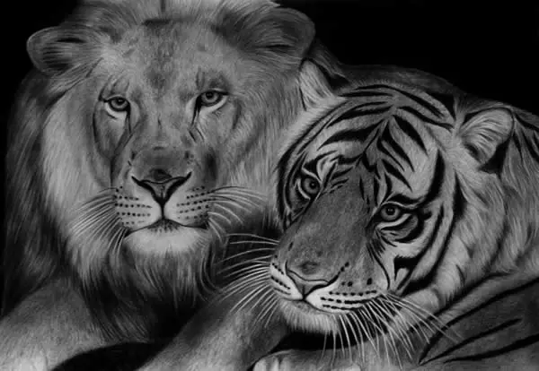 imagenes
