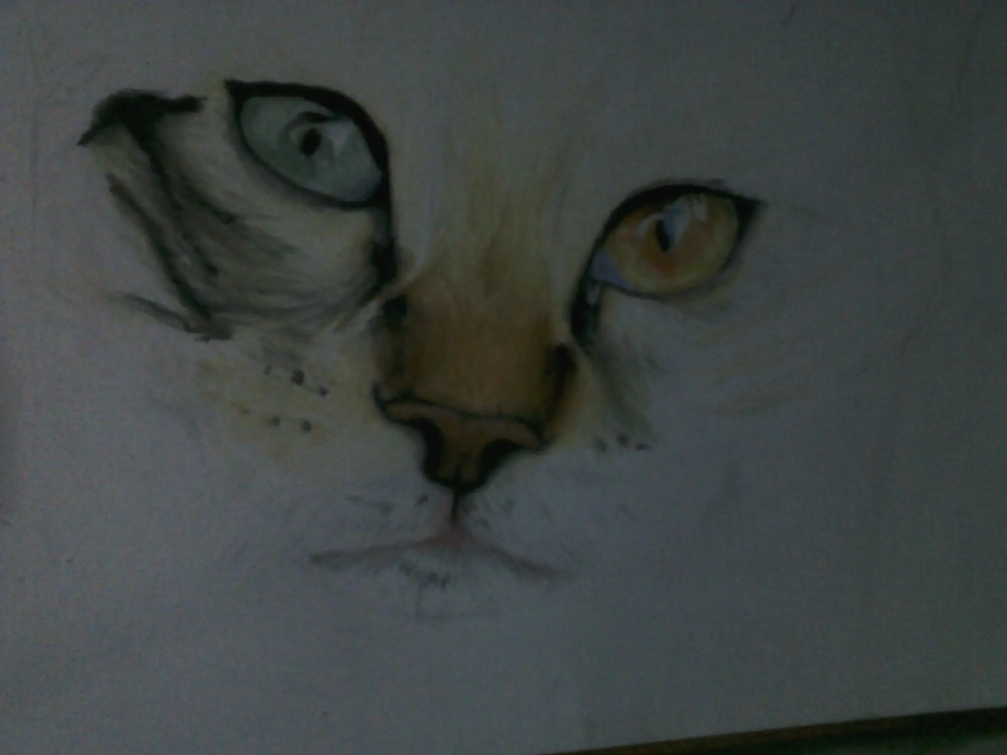 arte