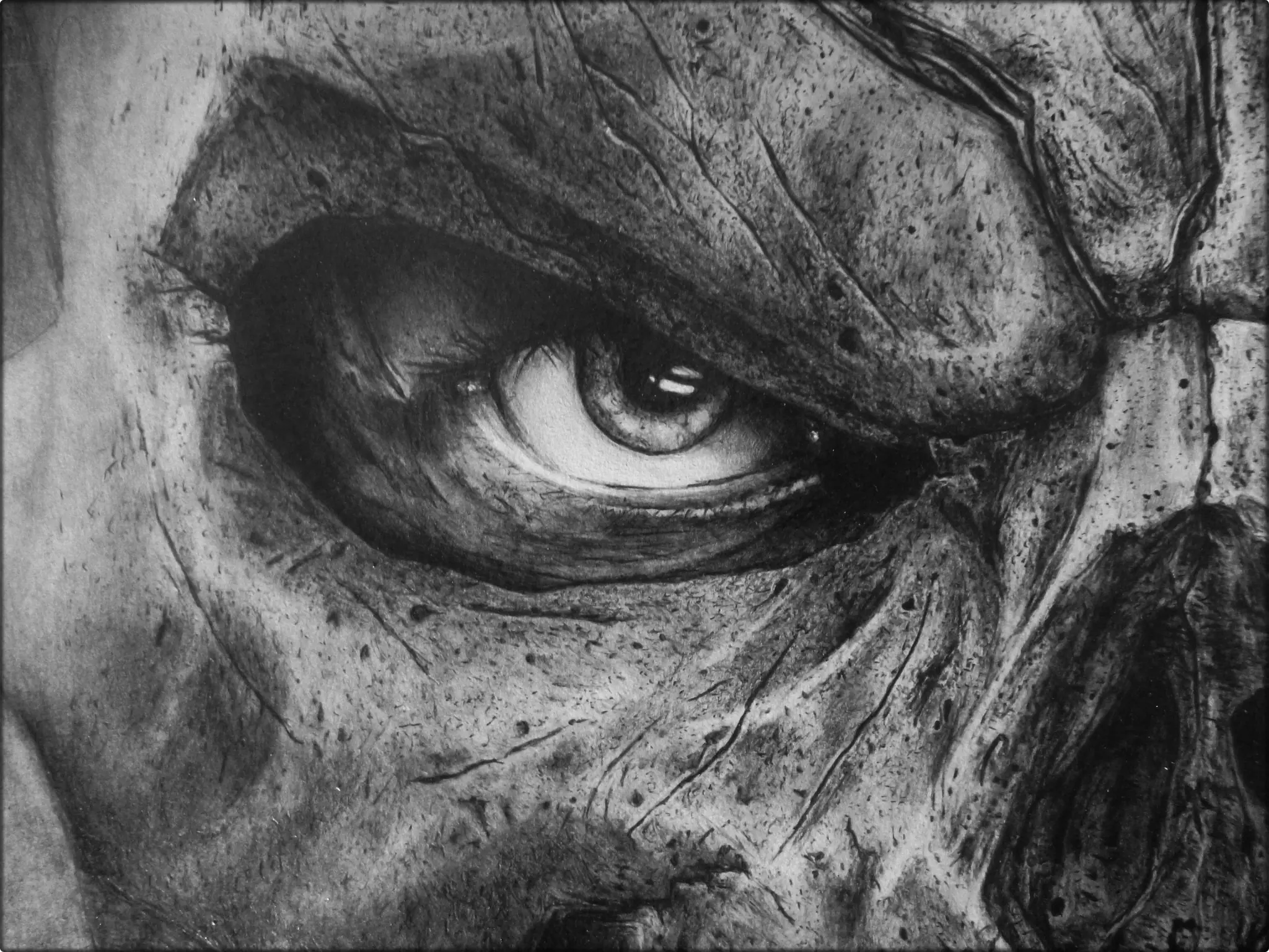 los ultimos hojos que veras