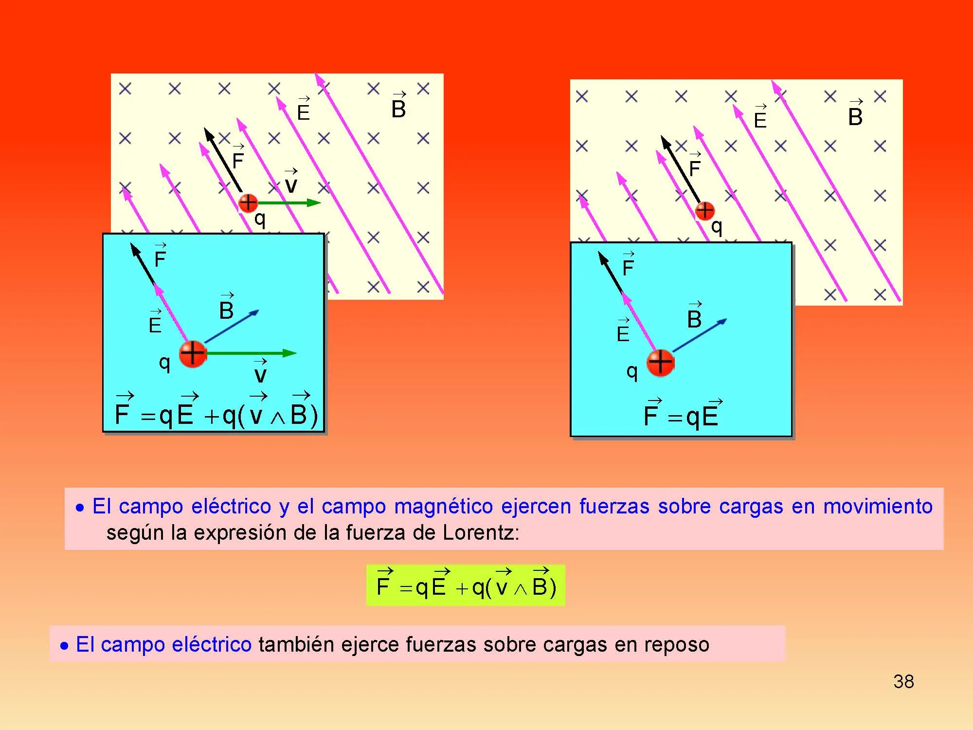 fisica