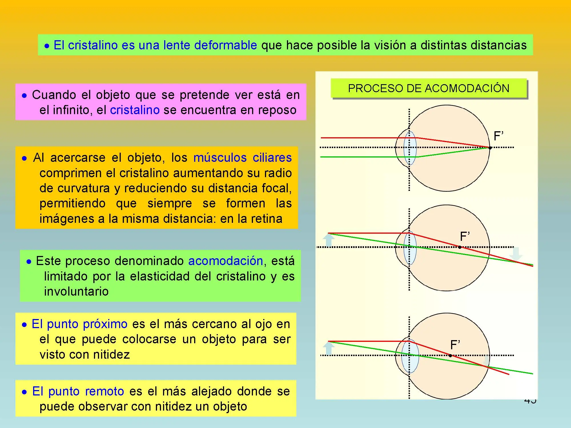 fisica