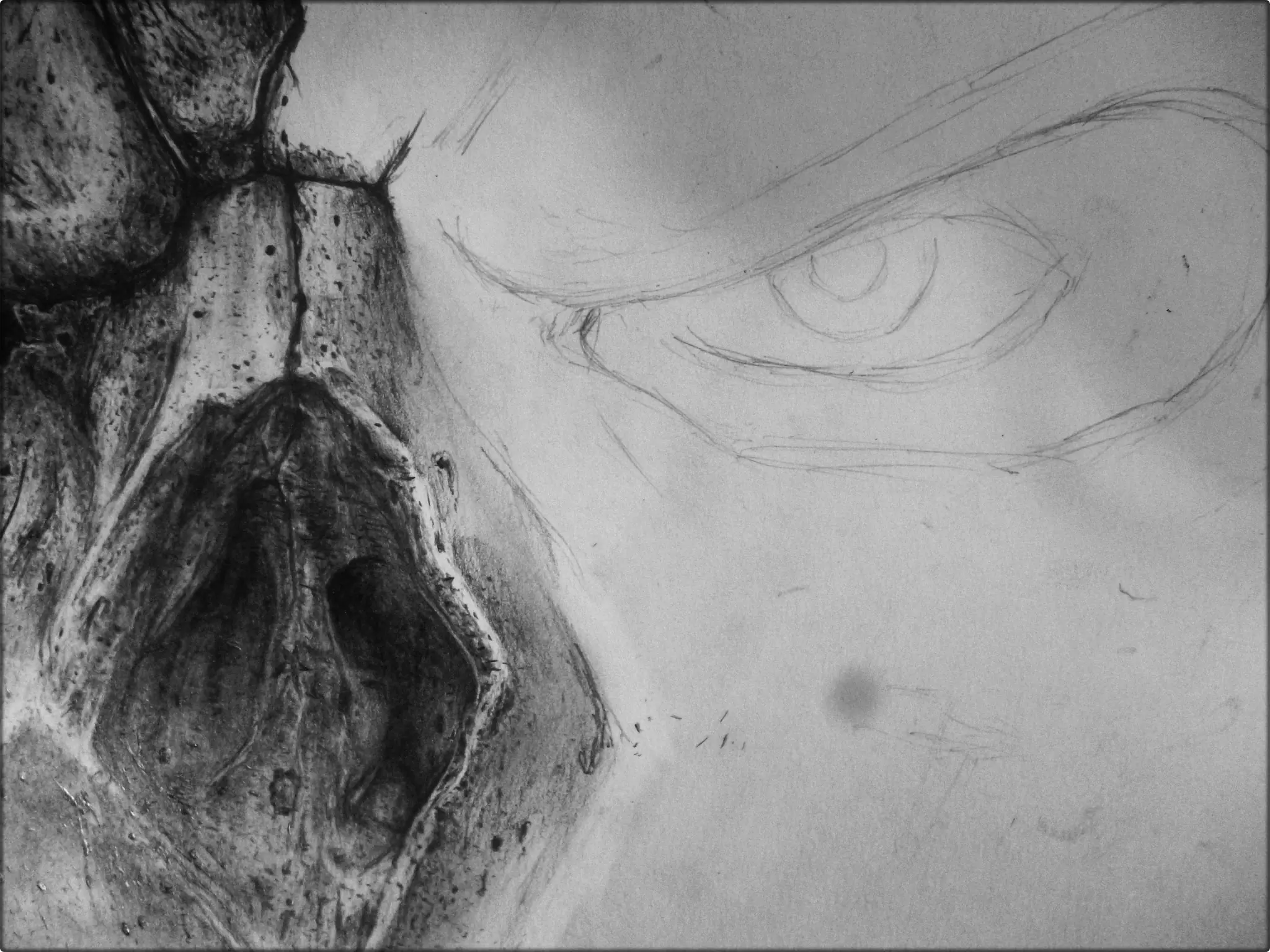 los ultimos hojos que veras