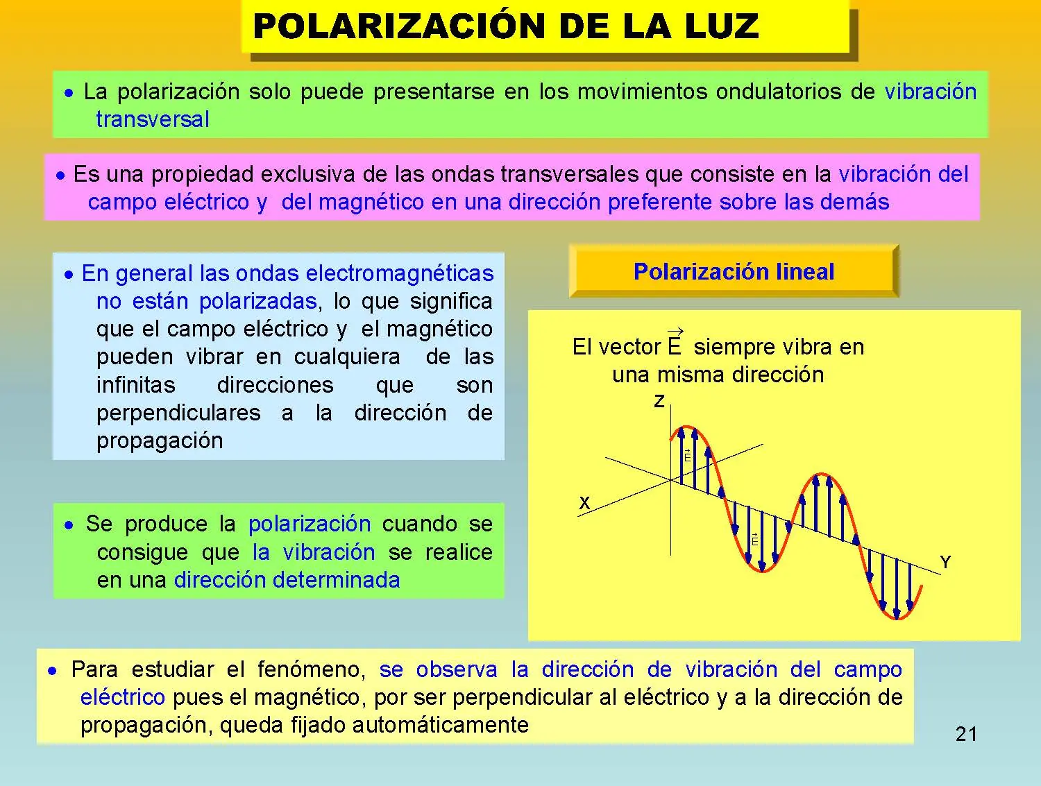 fisica