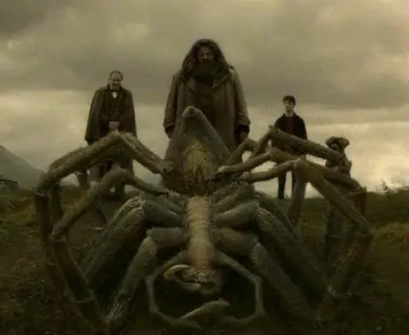 Similitudes Harry Potter y El Señor de los Anillos