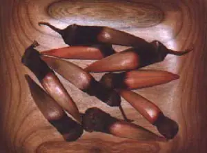 Araucaria Araucana (Pehuen)